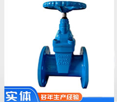 暗杆弹性座封闸阀